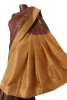 Pure Paisley Printed Silk Saree